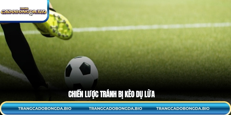 Chiến lược tránh bị kèo dụ lừa