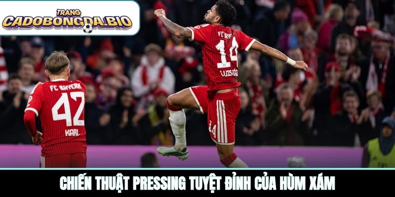 Chiến thuật pressing tuyệt đỉnh của Hùm xám