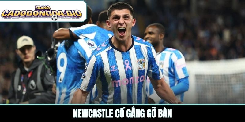 Newcastle cố gắng gỡ bàn